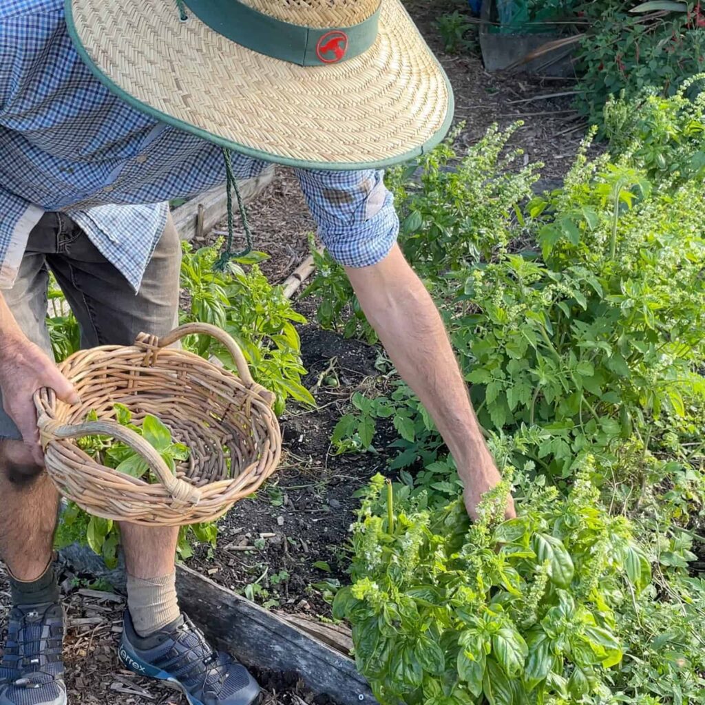 Gardening
