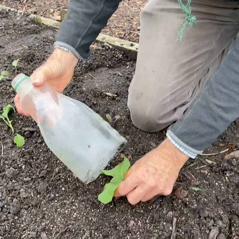 Gardening
