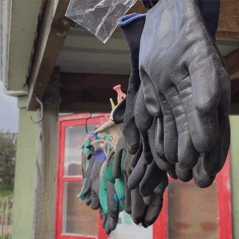 Gloves