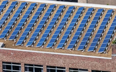 Rise of commercial solar in nz